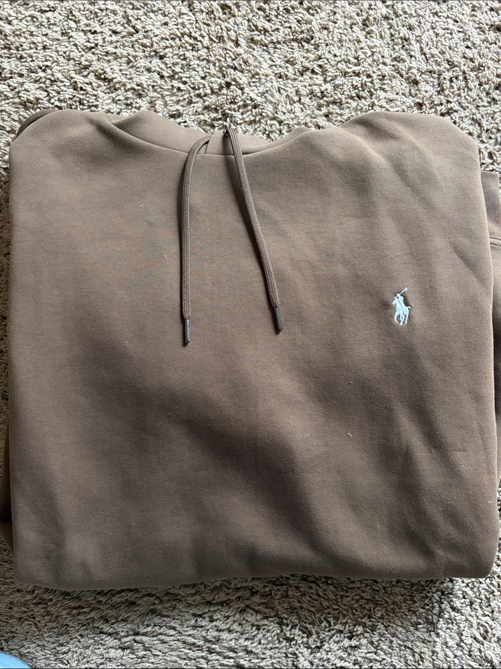 Polo Ralph Lauren Hooded Sweatshirt